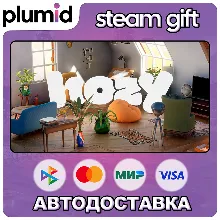 Hozy Steam Gift / Россия + МИР / АВТО