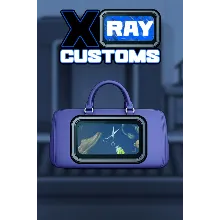 Xray Customs Xbox Series X|S активация