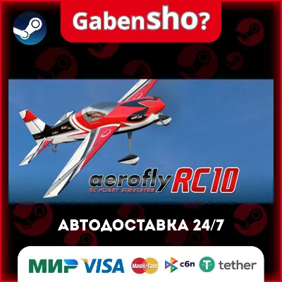 aerofly RC 10 - RC Flight Simulator СТИМ Steam Gift - irongamers.ru