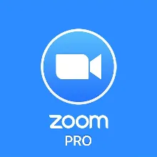 ZOOM WORKPLACE PRO 1/12 МЕСЯЦЕВ