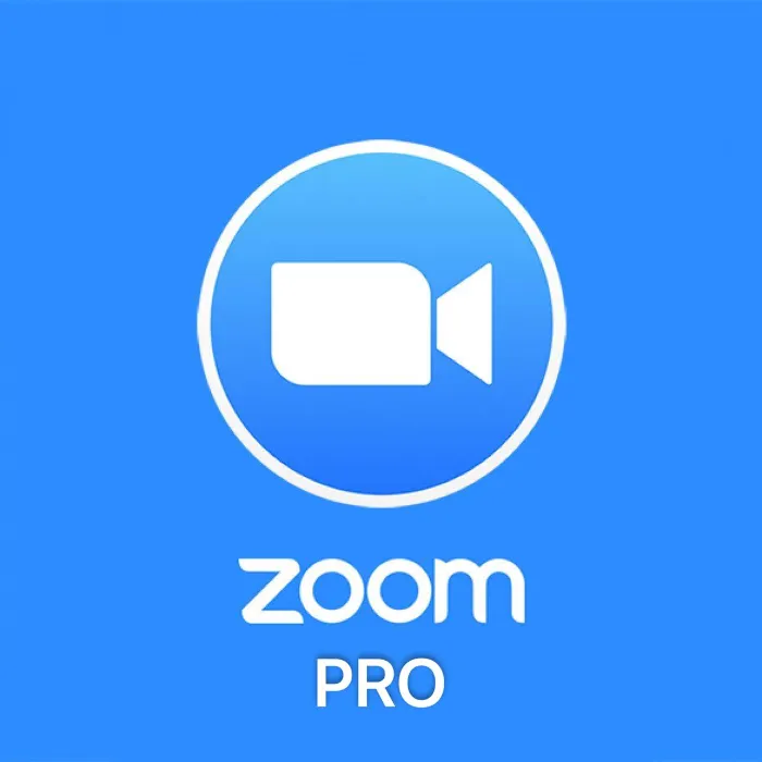 ZOOM WORKPLACE PRO 1 · 12 МЕСЯЦЕВ