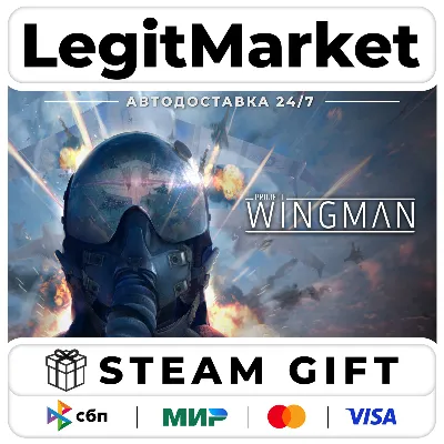 Project Wingman / Steam АВТО / РУ + МИР - irongamers.ru
