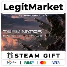 Terminator: Resistance / Steam АВТО / РУ + МИР