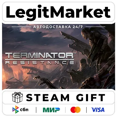 Terminator: Resistance / Steam АВТО / РУ + МИР - irongamers.ru