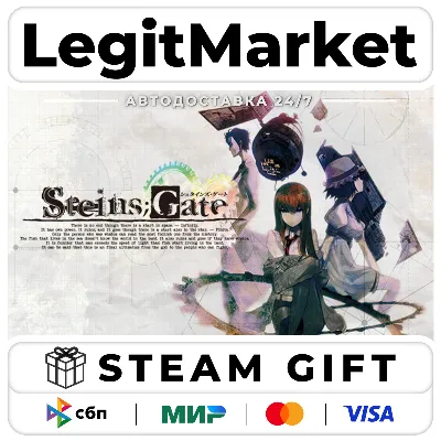 STEINS;GATE / Steam АВТО / РУ + МИР - irongamers.ru