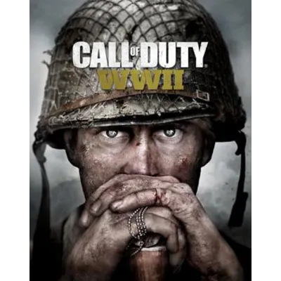 Call of Duty: WWII ROW Steam Key - irongamers.ru