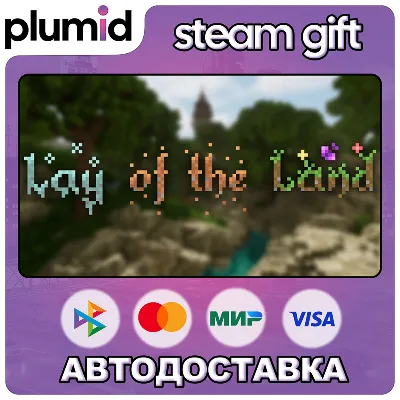 Lay of the Land Steam Gift / Россия + МИР / АВТО - irongamers.ru