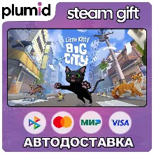 Little Kitty, Big City Steam Gift / Россия + МИР / АВТО
