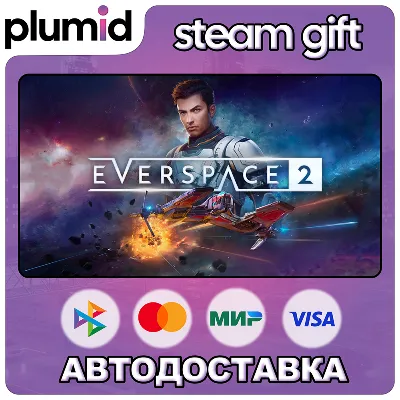 EVERSPACE 2 Steam Gift / Россия + МИР / АВТО - irongamers.ru