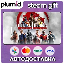 Mortal Kombat 1 Definitive Edition Steam Gift / МИР / АВТО