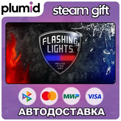 Flashing Lights - Police, Firefighting, Emergency Services (EMS) Simulator Steam Gift - irongamers.ru