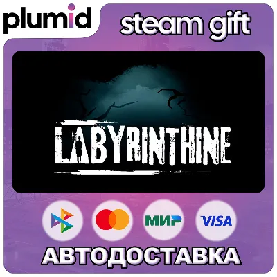 Labyrinthine Steam Gift / Россия + МИР / АВТО - irongamers.ru