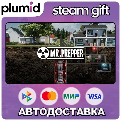 Mr. Prepper Steam Gift / Россия + МИР / АВТО - irongamers.ru