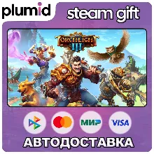 Torchlight III Steam Gift / Россия + МИР / АВТО