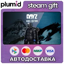DayZ Cool Edition Steam Gift / Россия + МИР / АВТО