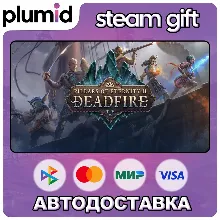 Pillars of Eternity II: Deadfire Standard Edition Steam Gift / Россия + МИР / АВТО