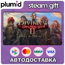 Divinity: Original Sin 2 - Divine Edition Steam Gift / Россия + МИР / АВТО