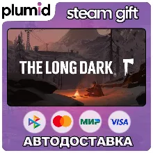 The Long Dark Steam Gift / Россия + МИР / АВТО
