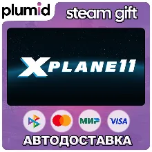 X-Plane 11 Steam Gift / Россия + МИР / АВТО