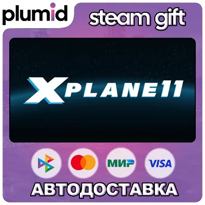 X-Plane 11 Steam Gift / Россия + МИР / АВТО - irongamers.ru