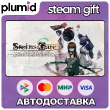 STEINS;GATE Steam Gift / Россия + МИР / АВТО