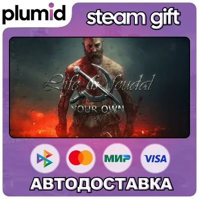 Life is Feudal: Your Own Steam Gift / Россия + МИР / АВТО