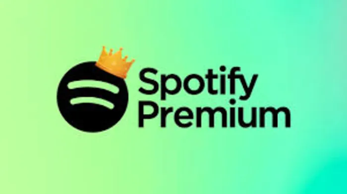 1 MONTH Spotify Individual Premium Account