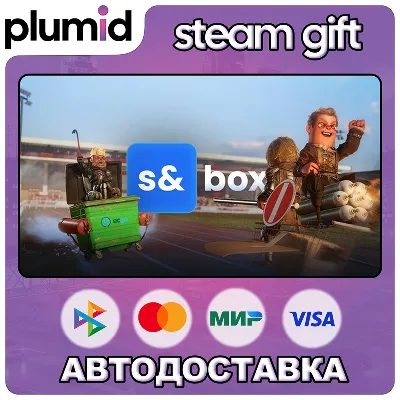 s&box Steam Gift / Россия + МИР / АВТО - irongamers.ru