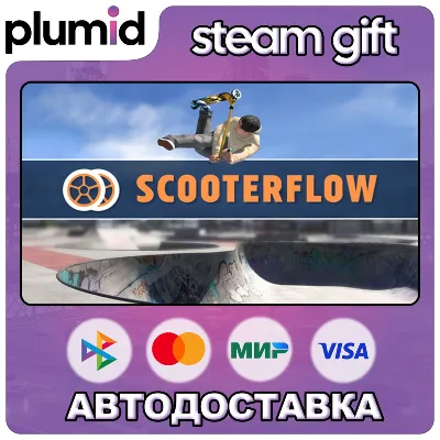 ScooterFlow Steam Gift / Россия + МИР / АВТО - irongamers.ru