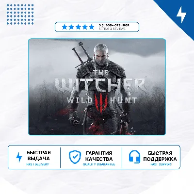 The Witcher 3: Wild Hunt - «Ведьмак 3: Дикая Охота» PS4 PS5 | П2/П3 - irongamers.ru
