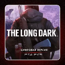 The Long Dark PS4 PS5 | П2/П3