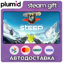 Steep Steam Gift / Россия + МИР / АВТО