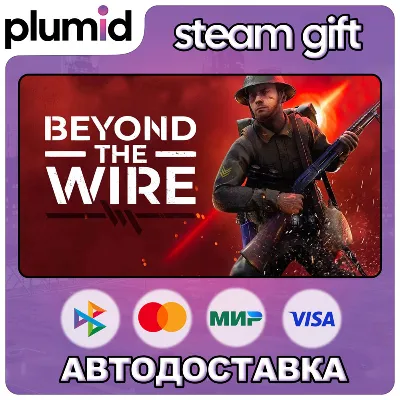 Beyond The Wire Steam Gift / Россия + МИР / АВТО - irongamers.ru