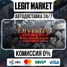 Divinity: Original Sin Enhanced Edition - Collector's Edition / Steam АВТО / РУ + МИР