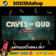 Caves of Qud + ВЫБОР РЕГИОНА STEAM