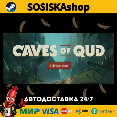 Caves of Qud + ВЫБОР РЕГИОНА STEAM - irongamers.ru