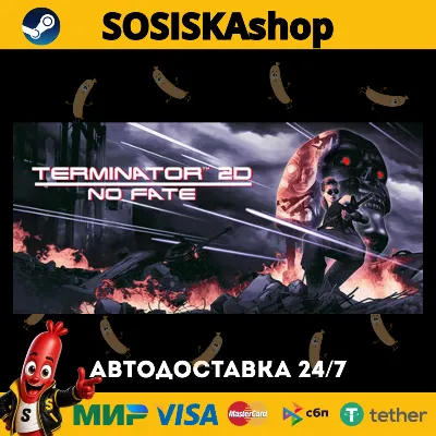 Terminator 2D: NO FATE + ВЫБОР РЕГИОНА STEAM - irongamers.ru