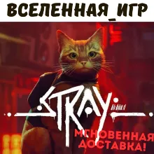 Stray (РФ/СНГ/РУССКИЙ ЯЗЫК) STEAM КЛЮЧ