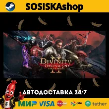 Divinity: Original Sin 2 - Definitive Edition + ВЫБОР РЕГИОНА STEAM