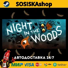 Night in the Woods + ВЫБОР РЕГИОНА STEAM