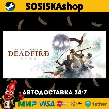 Pillars of Eternity II: Deadfire + ВЫБОР РЕГИОНА STEAM