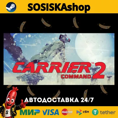 Carrier Command 2 + ВЫБОР РЕГИОНА STEAM - irongamers.ru