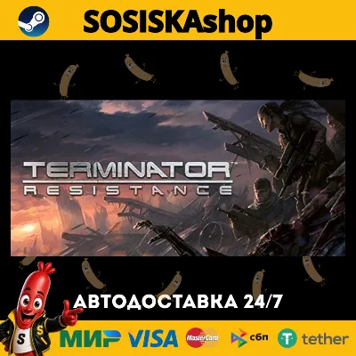 Terminator: Resistance + ВЫБОР РЕГИОНА STEAM - irongamers.ru
