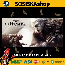 The Witcher: Enhanced Edition Director's Cut + ВЫБОР РЕГИОНА STEAM
