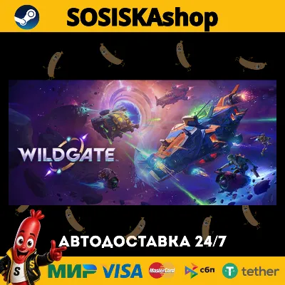 Wildgate + ВЫБОР РЕГИОНА STEAM - irongamers.ru