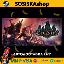 Pillars of Eternity + ВЫБОР РЕГИОНА STEAM