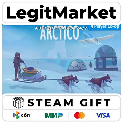 Arctico / Steam АВТО / РУ + МИР - irongamers.ru
