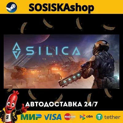 Silica + ВЫБОР РЕГИОНА STEAM - irongamers.ru