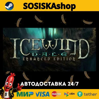 Icewind Dale: Enhanced Edition + ВЫБОР РЕГИОНА STEAM - irongamers.ru