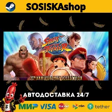 Street Fighter 30th Anniversary Collection + ВЫБОР РЕГИОНА STEAM